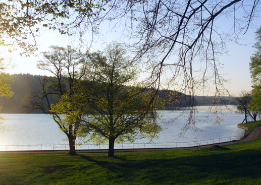 Jedovnické rybníky